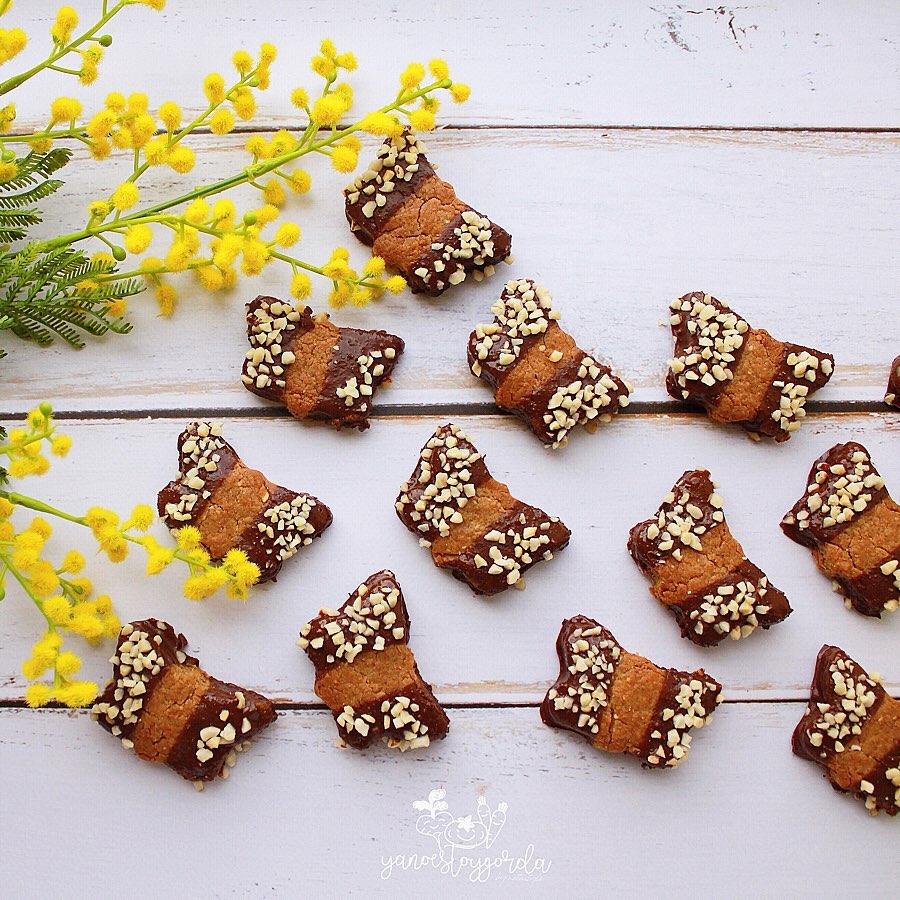 galletas integrales con chocolate