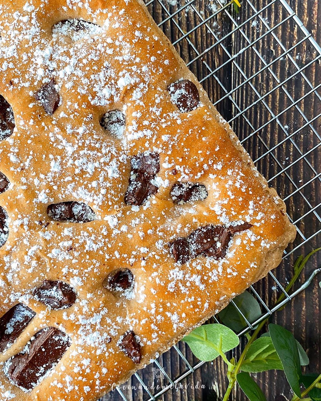 bizcocho de espelta con chips de chocolate