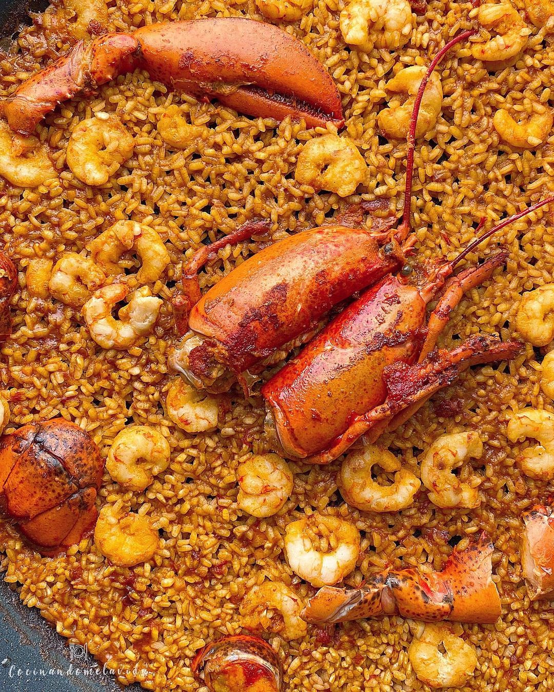 arroz con bogavante