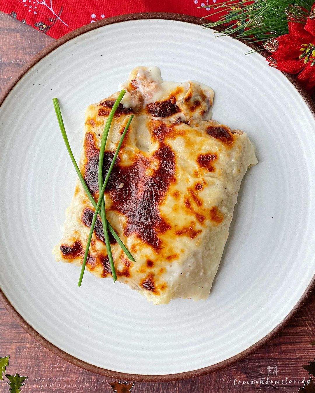 CANELONES DE POLLO Y PAVO