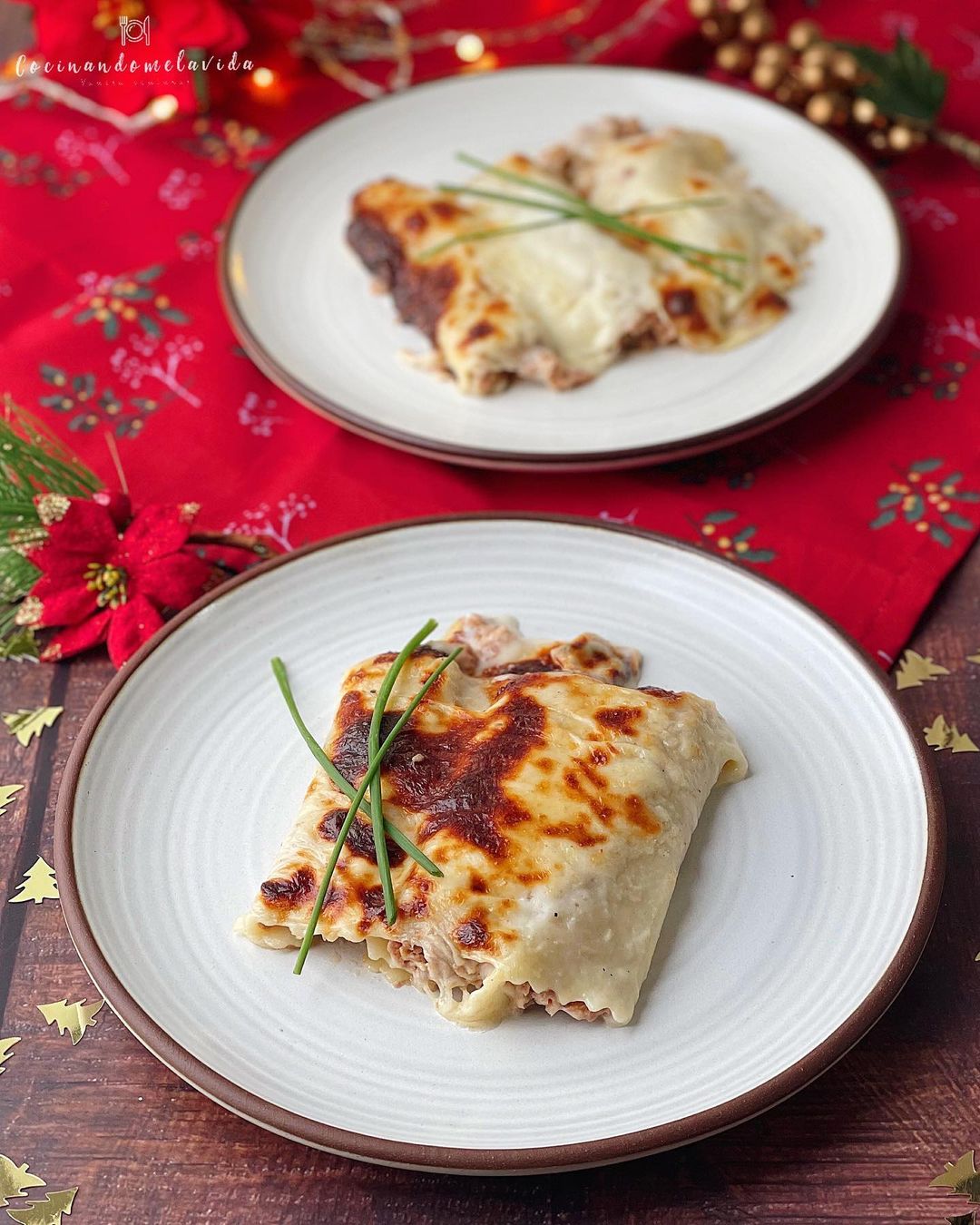 CANELONES DE POLLO Y PAVO