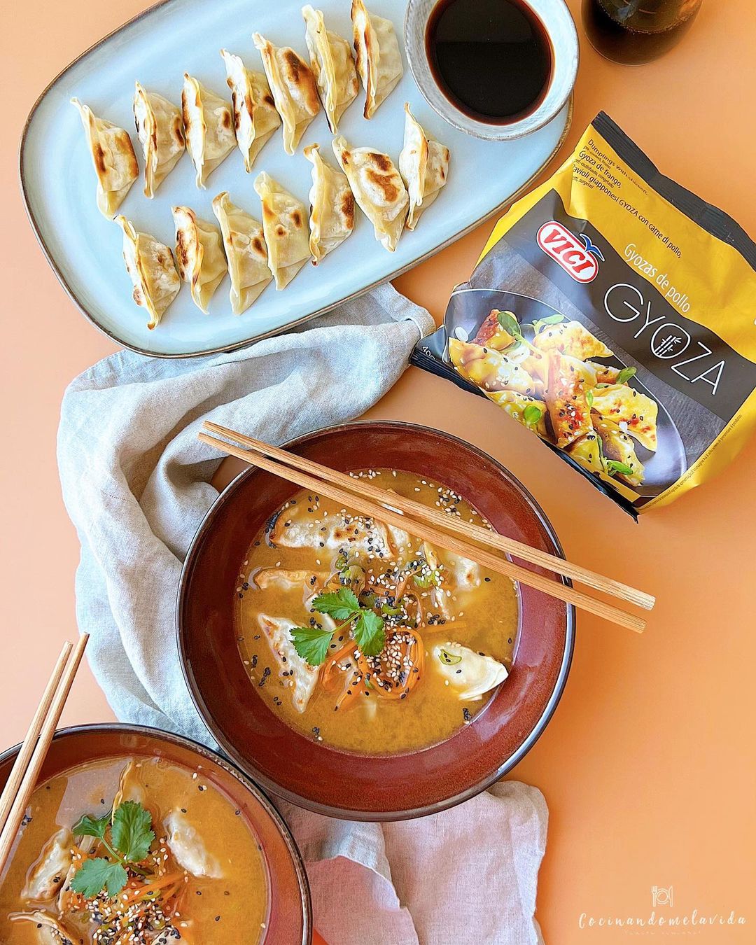 caldo de carne con verduras y gyozas de pollo