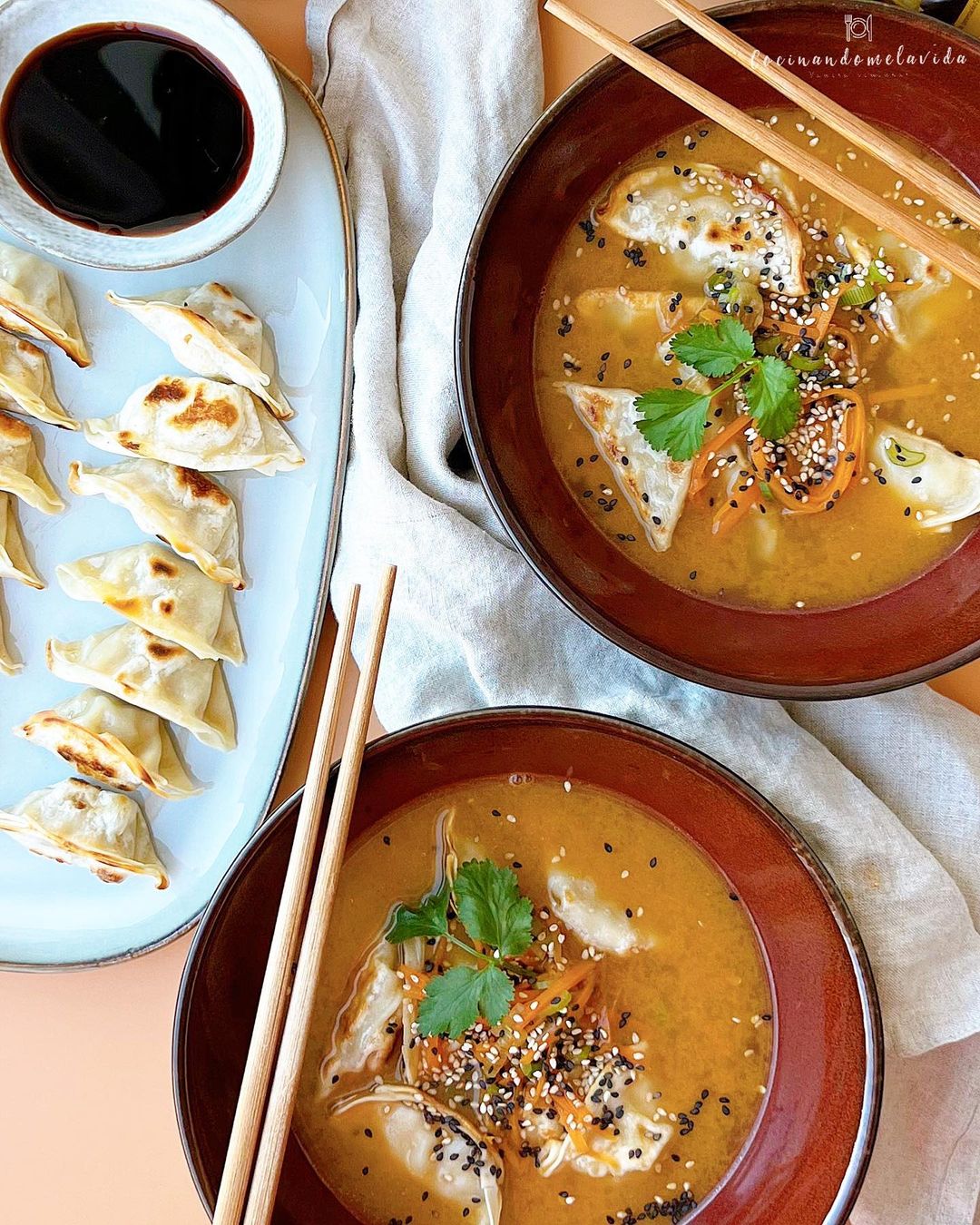 caldo de carne con verduras y gyozas de pollo