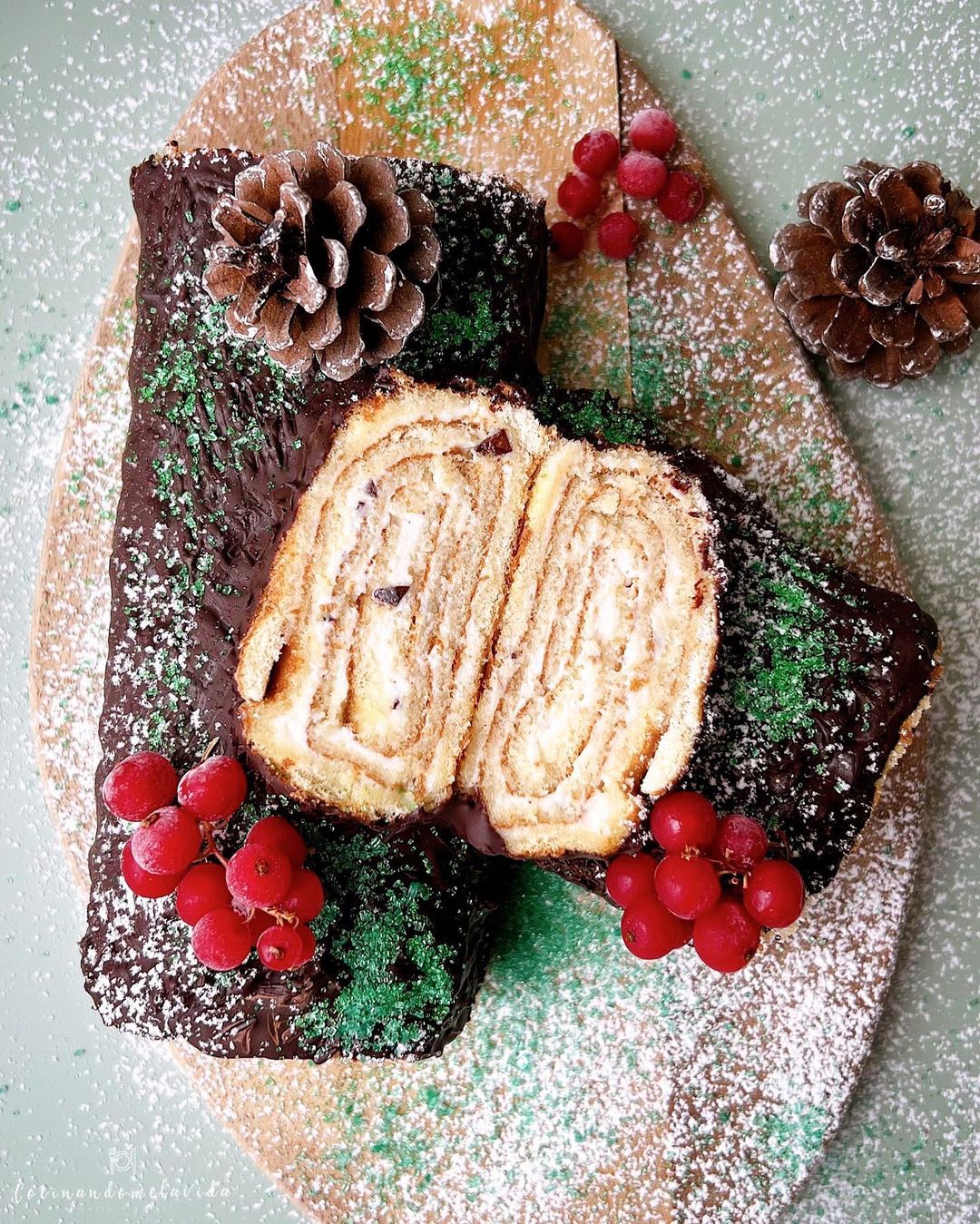 TRONCO DE NAVIDAD SALUDABLE
